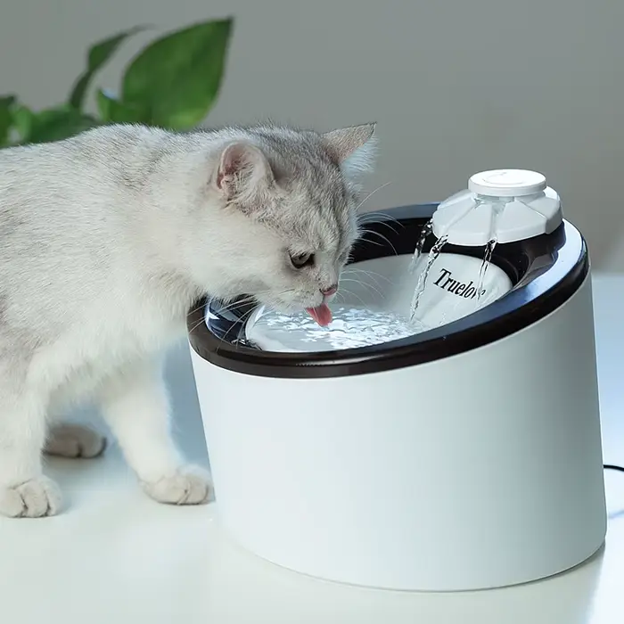 Truelove fontaine d'eau pour animaux de compagnie