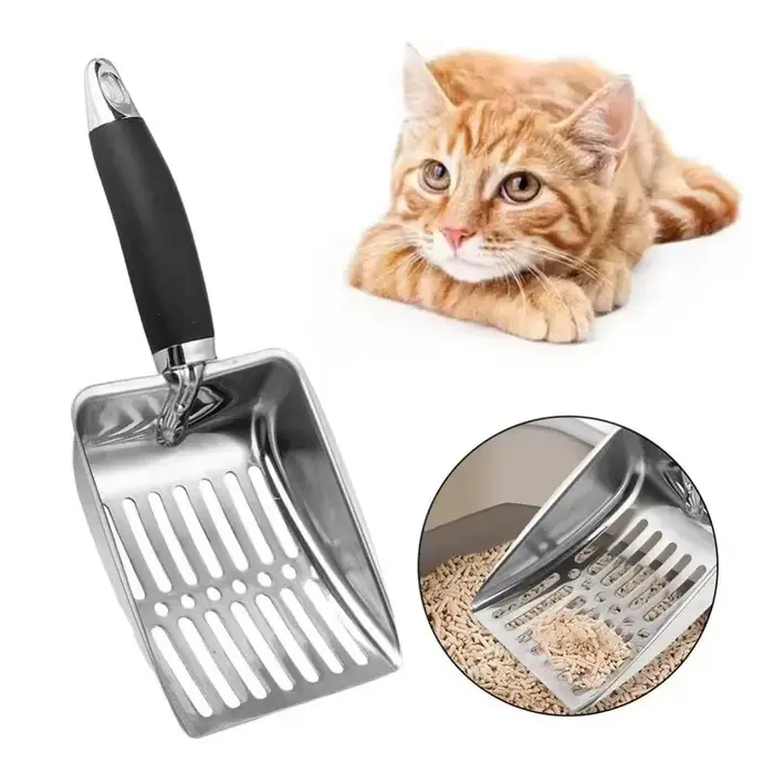 Nettoyage au sable pour chat