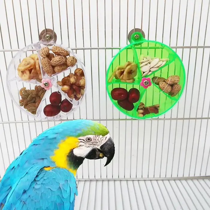 Jouets pour perroquets rotatifs pour animaux de compagnie, roues, morsure à mâcher, boîte alimentair