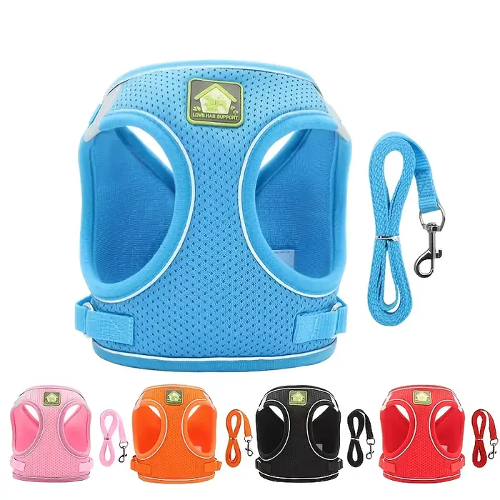 Ensemble de coulée SFP et laisse pour chien et chat, sans côtes, maille respirante