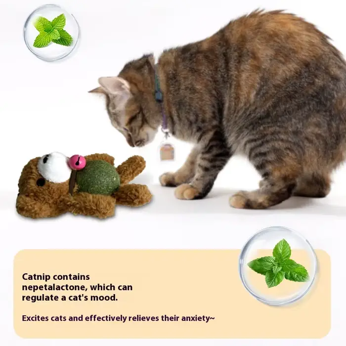Boule d'herbe à chat pour chat