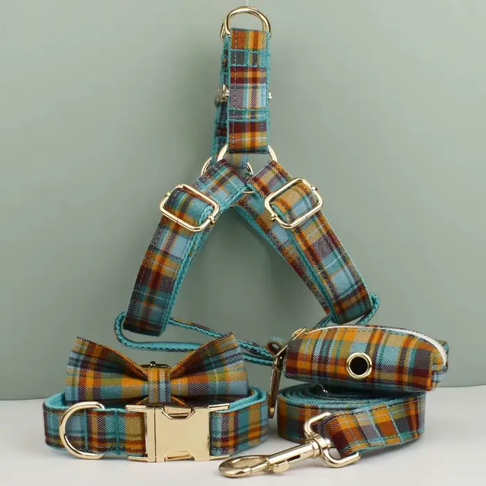 Accessoires pour animaux de compagnie : Ensemble collier, laisse et harnais pour chien personnalisé,