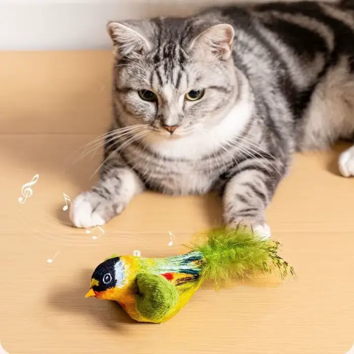 Jouet interactif d'intérieur pour chat
