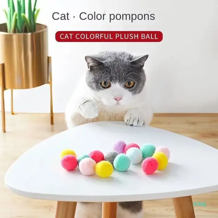 Jouets interactifs pour chat