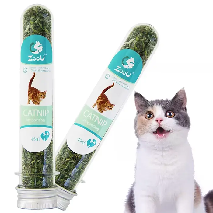 Herbe à chat biologique naturelle de haute qualité