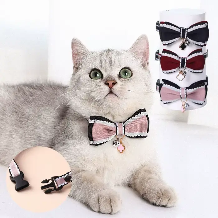 Collier pour chat mignon