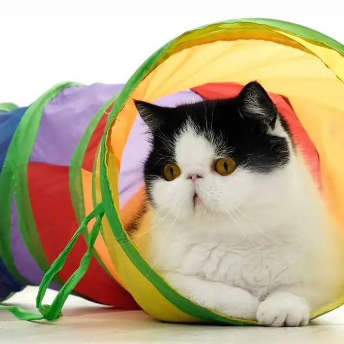 Tube Tunnel pliable pour chat, jouets d'entraînement pour chaton, jouet interactif amusant, Tunnel e