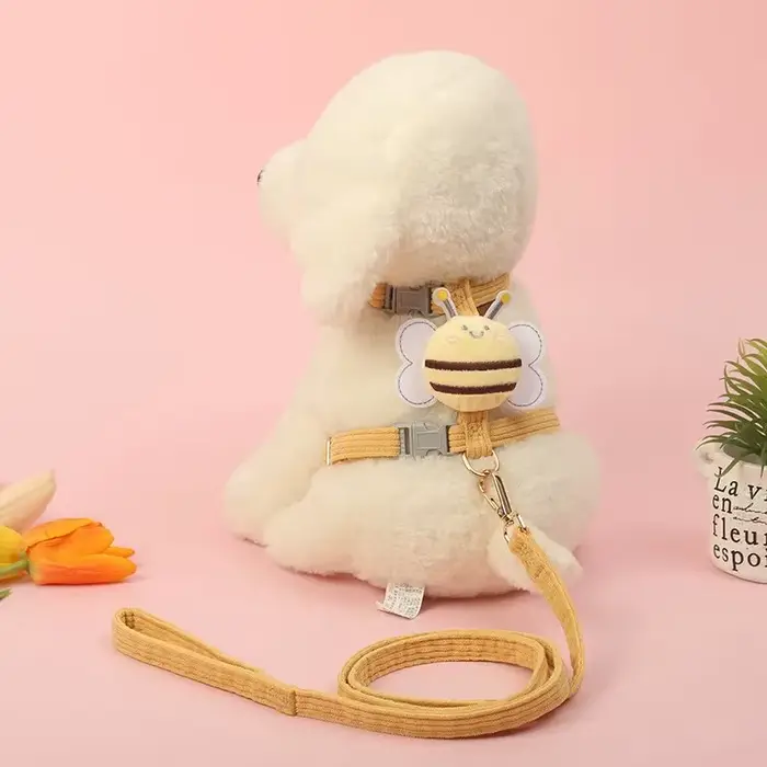 Ensemble harnais et laisse anti-fuite pour chat