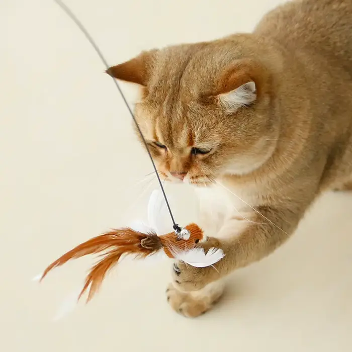 Baguette mains libres pour chat oiseau/plumes, avec cloche, ventouse puissante, jouets interactifs p