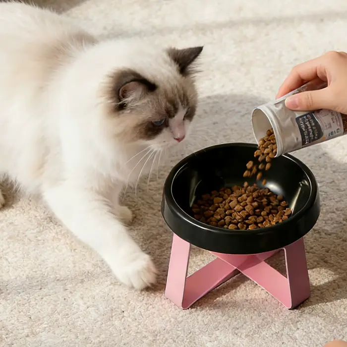 Bol en céramique surélevé pour chat avec support rouge en forme de T, design incliné, pour une alime