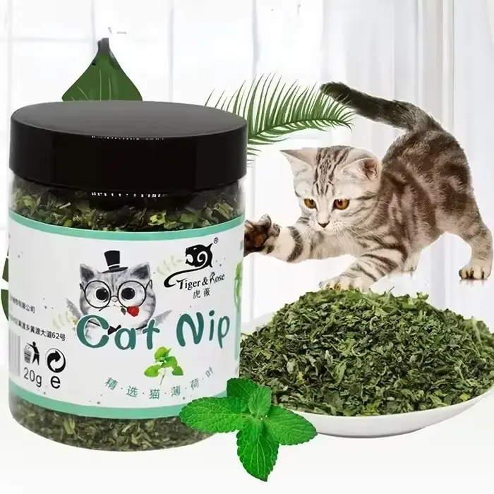Bio 100% naturel de haute qualité herbe-aux-chats bétail goût de menthe drôle chat jouet nouveau