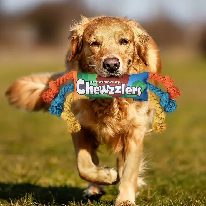 Jouet arc-en-ciel pour chien