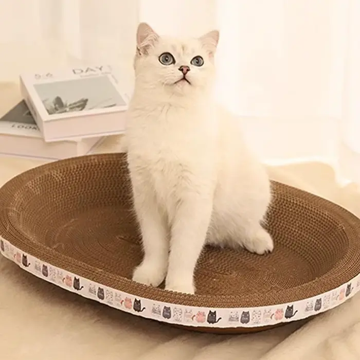 Gratte-chat ondulé grattoirs pour chat planche à gratter