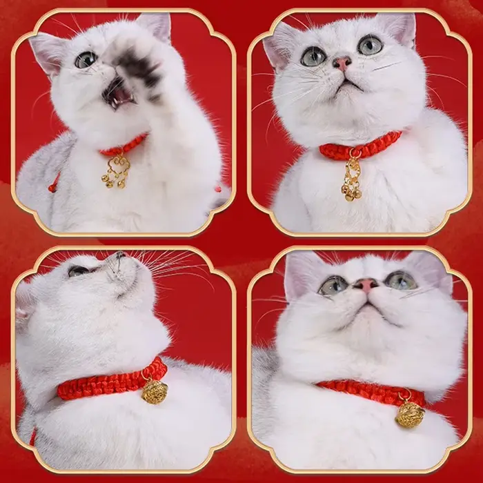 Collier Tressé en Corde Rouge pour Chat Chinois