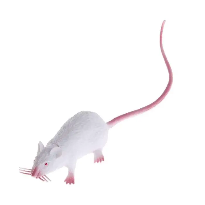 Faux petit Rat réaliste, modèle de souris, accessoire effrayant, jouet de farces, décor de fête d'ho