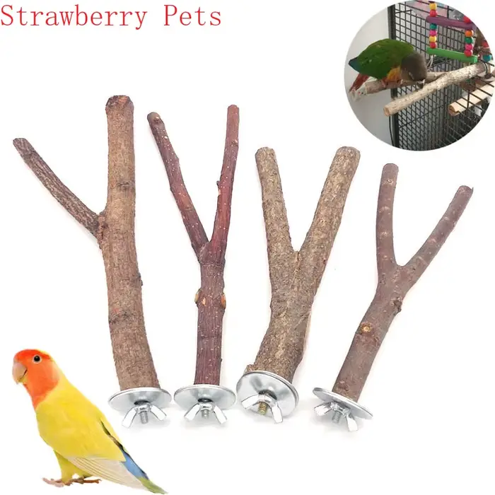 Parrot en bois naturel pour animaux de compagnie, fourchette en bois brut, support de branche d'arbr