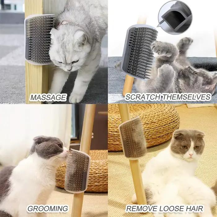 Brosse de Massage pour chat