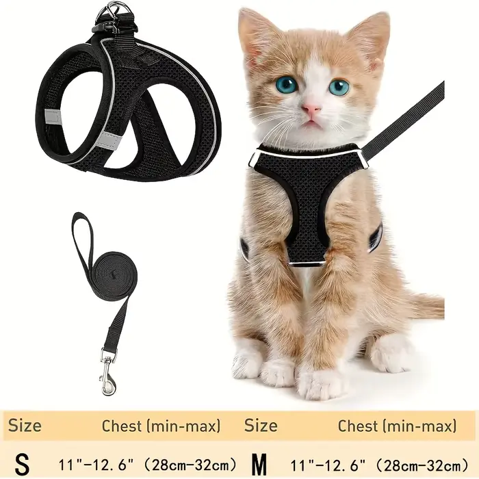 Ensemble de harnais anti-fuite pour chat : laisse de sécurité extérieure en maille souple réfléchiss