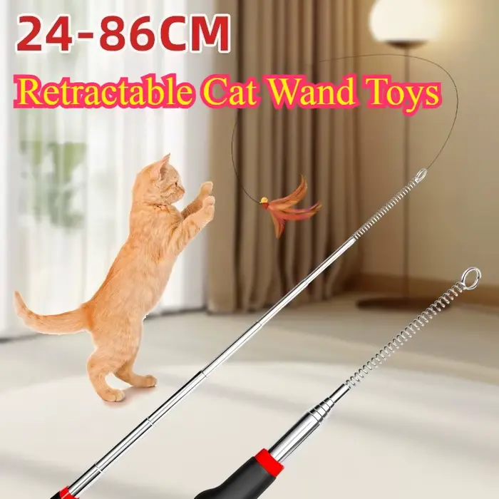 Jouet Teaser rétractable pour chat