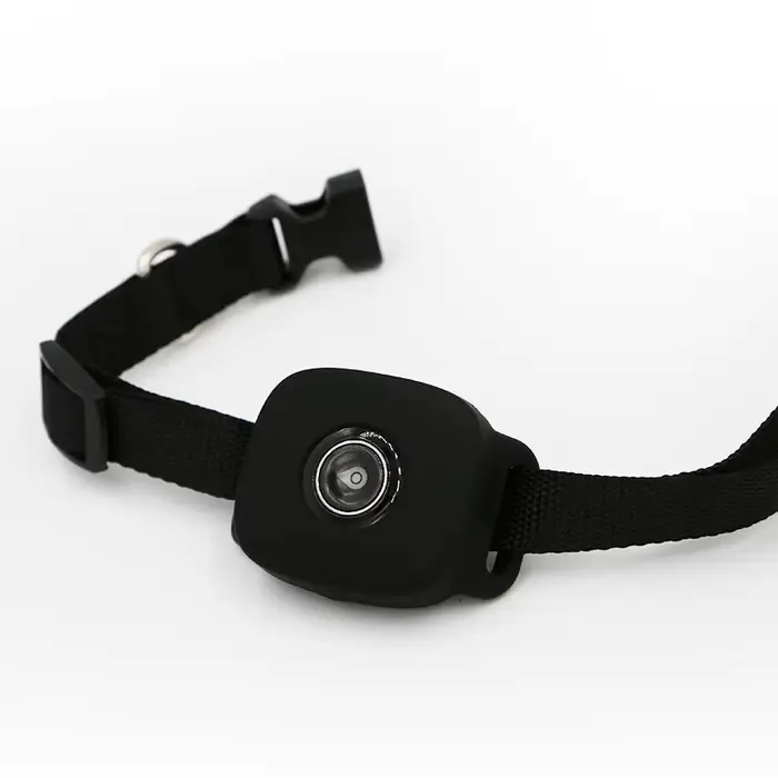 Coofull Traceur GPS 4G pour animaux de compagnie, suivi GPS en temps réel, collier pour chien, dispo