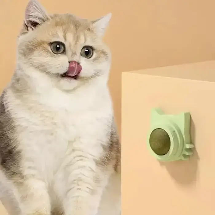 Boules d'herbe à chat, jouets à mâcher dentaires amusants et léchables pour chatons