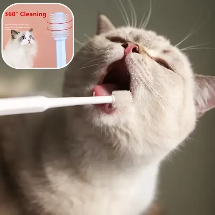 Brosse à dents pour chat