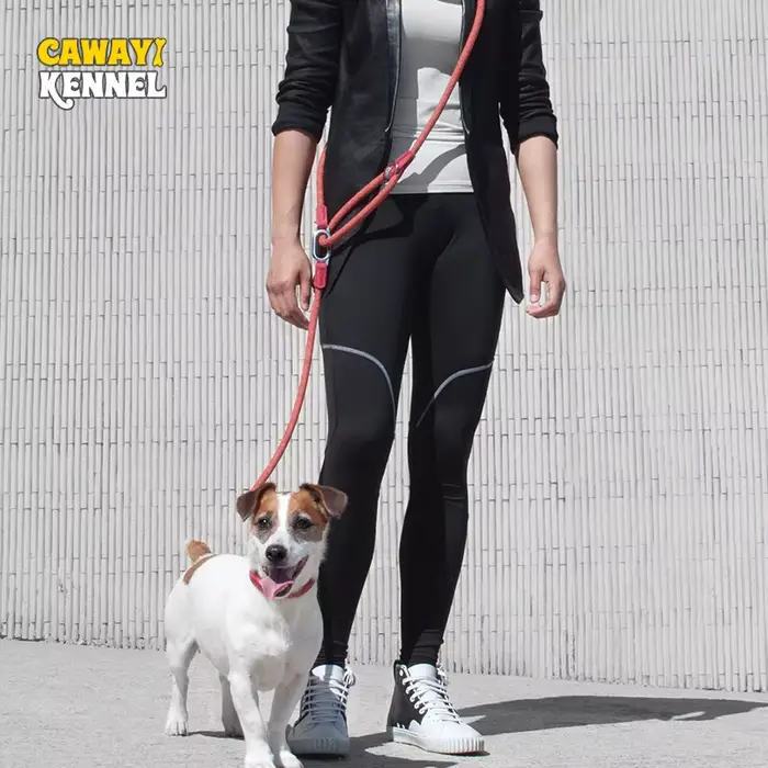 CAWAYI KENNEL Laisse en Nylon Réfléchissant pour Chien, Laisses pour Animal de Compagnie, Corde de T