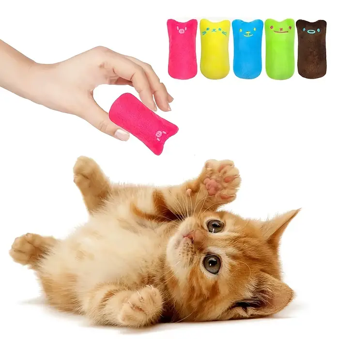 Jouet coule en herbe de cataire pour chat, 1 pièce, document aléatoire, fournitures pour animaux de