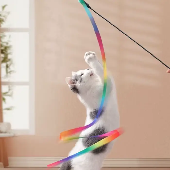 Jouets interactifs pour chat