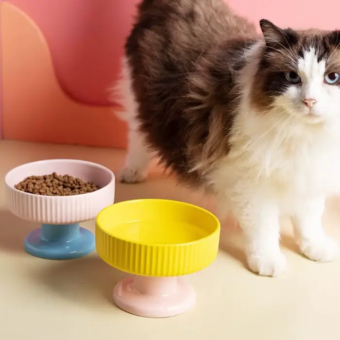 Bol en céramique pour chat