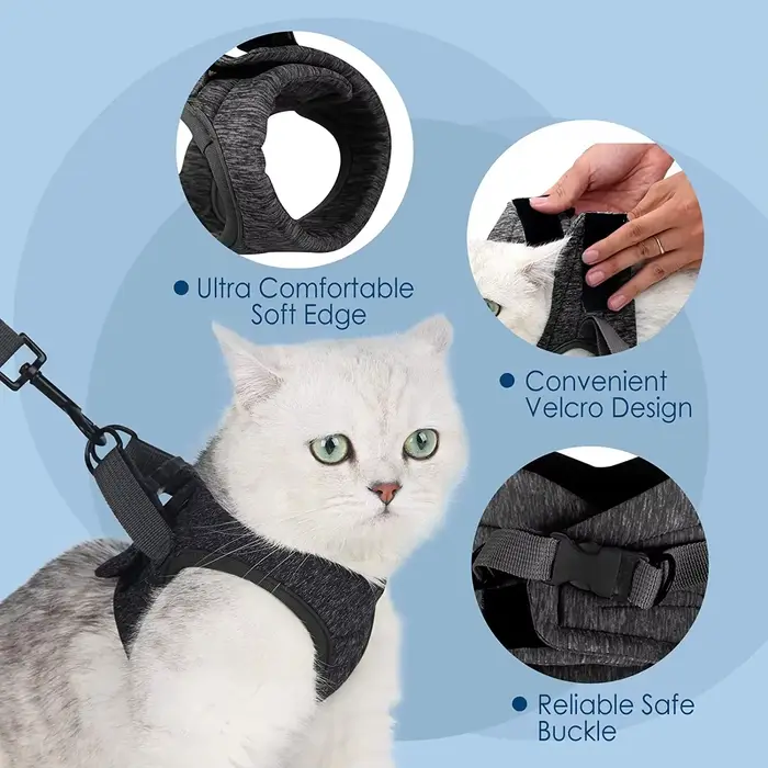 Harnais et laisse pour chat