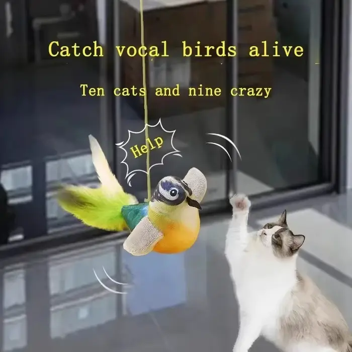 Le jouet pour chat émule l'oiseau sonore pour amuser la corde élastique