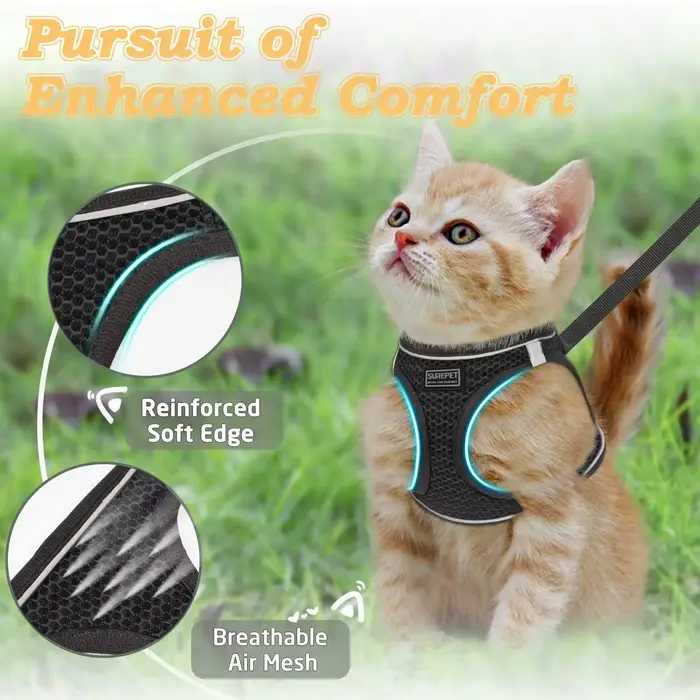 Harnais et laisse pour chat pour la promenade