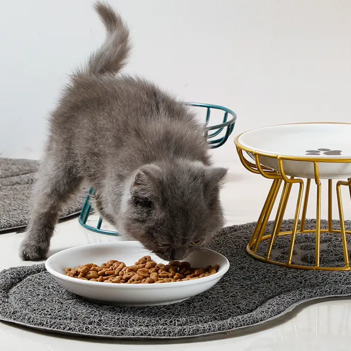 Bols en céramique surélevés et larges pour chats