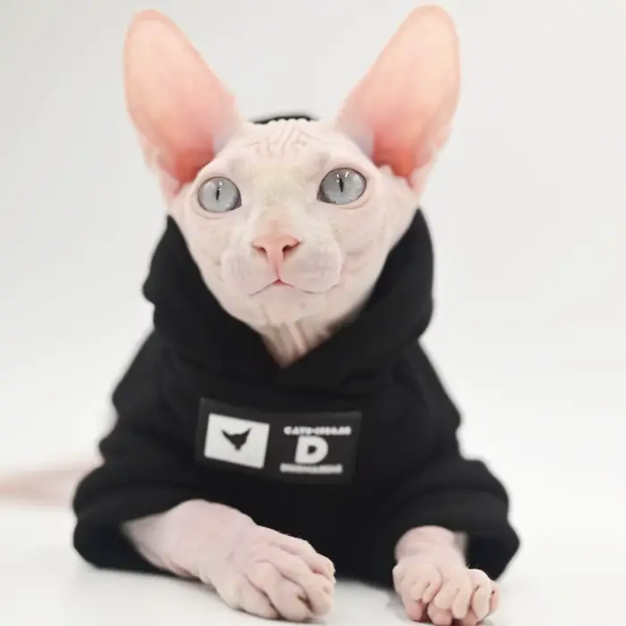 DUOMASUMI Sweat à capuche pour chat pour races sans poils – Pull tendance printemps/automne pour Sph