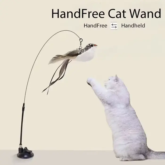 Jouet interactif pour chat, bâton mains libres pour chaton, baguette Teaser, jouet à ventouse, oisea