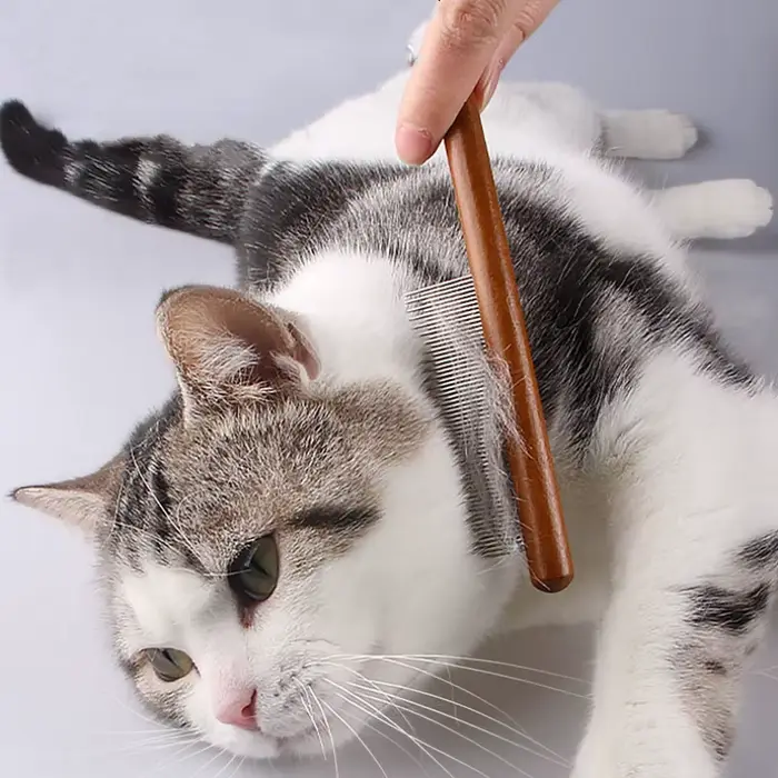 Peigne pour chat, brosse en bois, dissolvant de poils d'animaux, brosse de Massage pour chats, peignes de toilettage pour chats, ouverture des nœuds, brosses pour chiens